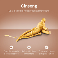 Caffè Freeze Dried 50 g - Ginseng