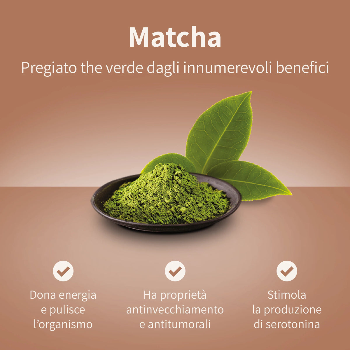 Matcha Green Tea - 10 bustine solubili