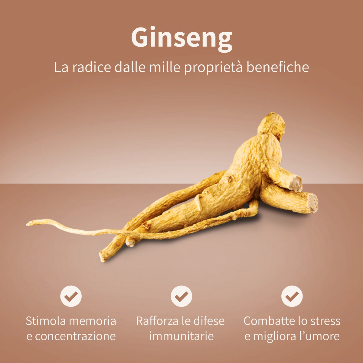 10 cialde compostabili ESE44 - Caffè aromatizzato al ginseng