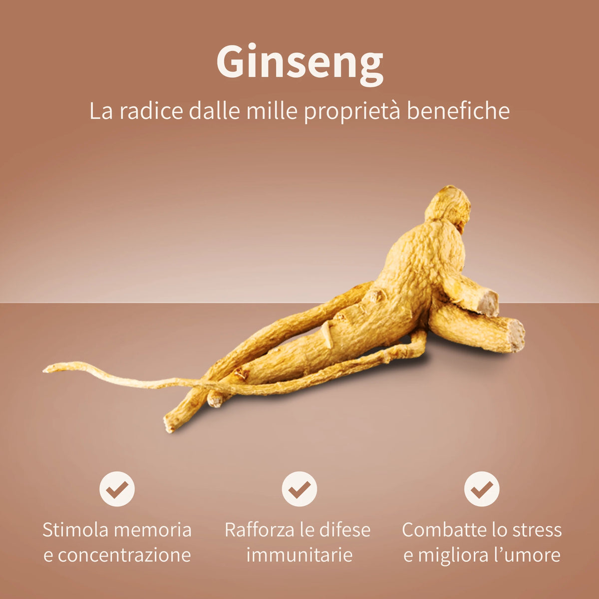 Ginseng Deca da zuccherare - Capsule Nespresso®*