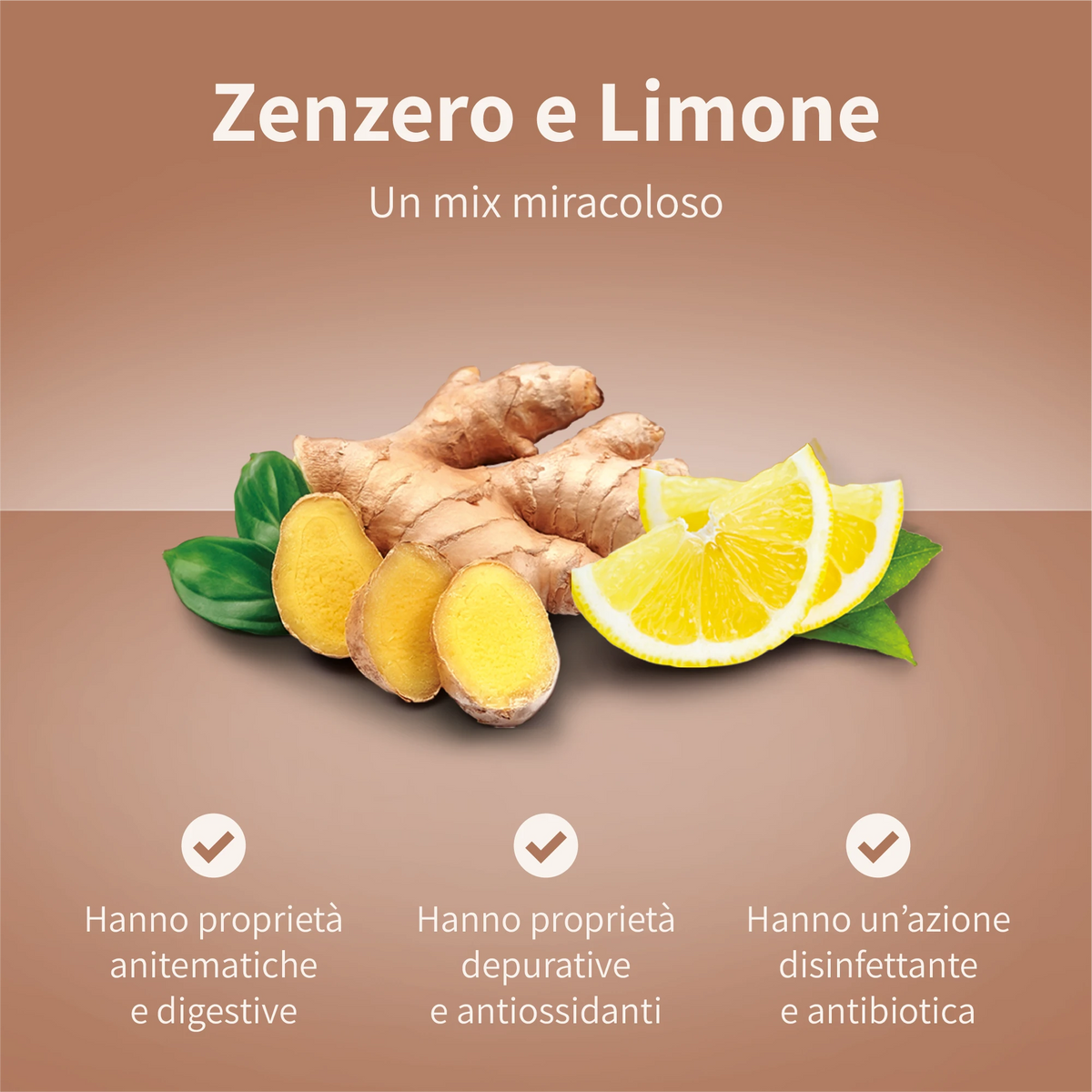 120 bustine Zenzero Limone