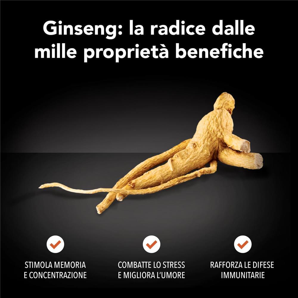 ginseng-solubile-piccolo-deca-4